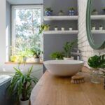 How to Choose the Flawless Bathroom Plant for Your Space